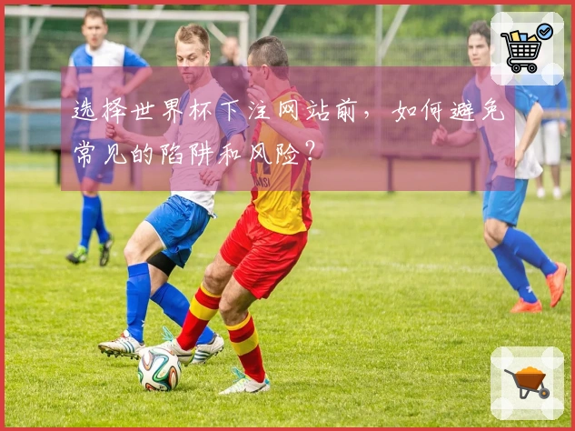 选择世界杯下注网站前，如何避免常见的陷阱和风险？