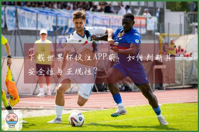 下载世界杯投注APP前，如何判断其安全性与正规性？